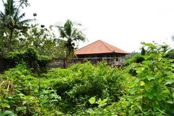 Land in Ubud, 12 ares in Lot Tunduh (TJUB029)
