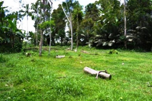 LAND FOR SALE IN UBUD, 1 Ha with stunning view in Tegalalang – TJUB035