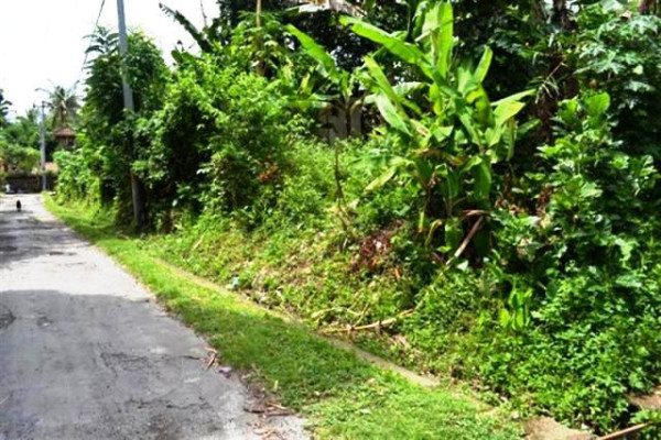 Land in Sayan Ubud 16 ares @Rp. 175 mill / ares in the villa area ( TJUB040)