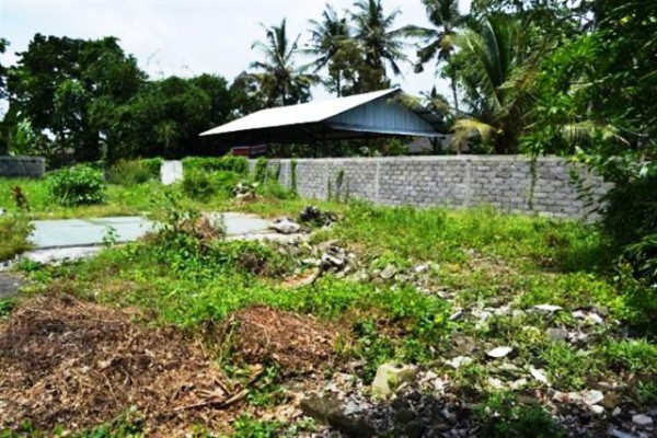 Land in Ubud, 8 ares in Lot Tunduh villa area – TJUB066