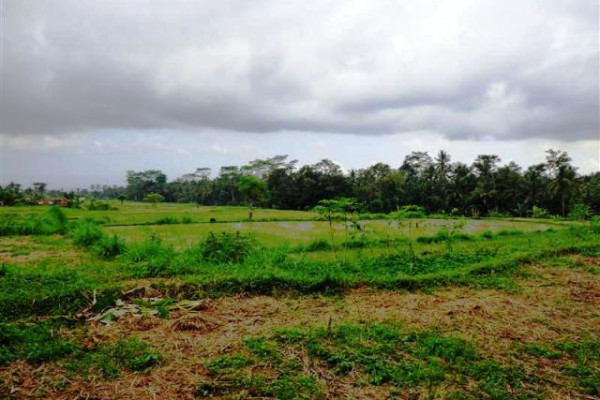 Land for sale in Ubud Pejeng with beautiful ricefield view – TJUB084