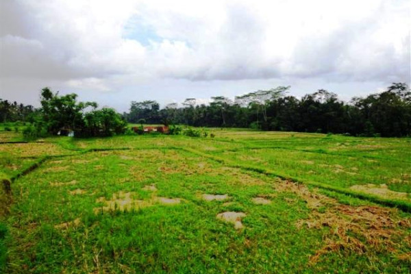 Roadside land for sale in Ubud – TJUB085