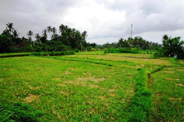 Land for sale in Ubud Tegalalang – TJUB086