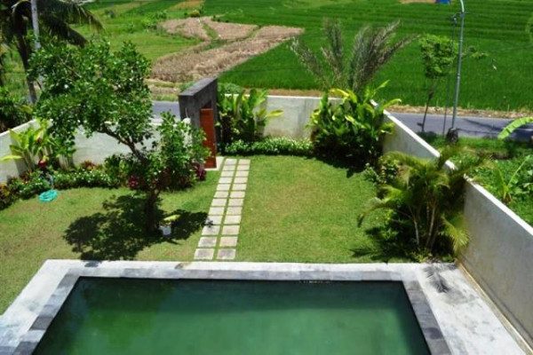 stunning rice field view villa for sale in Canggu