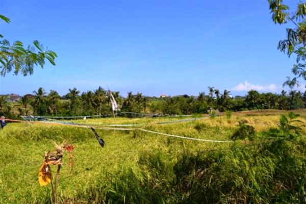Land for sale in canggu Tumbak bayuh – TJCG034