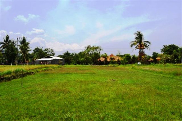 roadside land for sale in canggu with rice field view – TJCG038