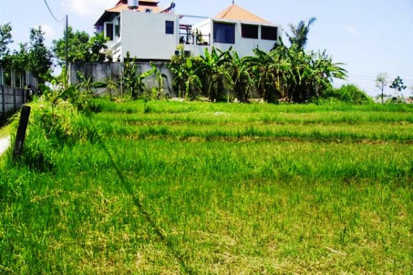 land for sale in canggu 500 meter from beach – TJCG045