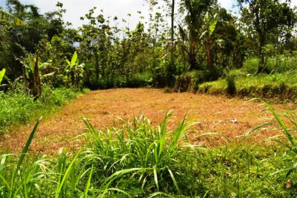stunning view land for sale in Tabanan – TJTB010