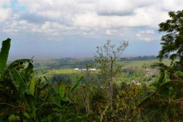 rice field and mountain view land for sale in Tabanan – TJTB011