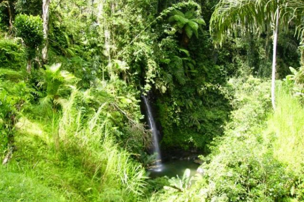 waterfall view land for sale in Ubud Bali – TJUB081