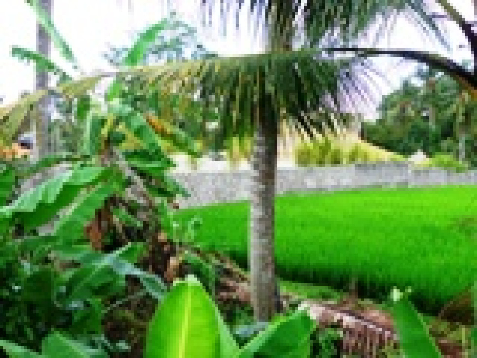 Land for sale in Canggu with beautifull rice fields view – TJCG051