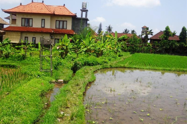 Land for sale in Ubud 1400 m2 Located in Tegalalang