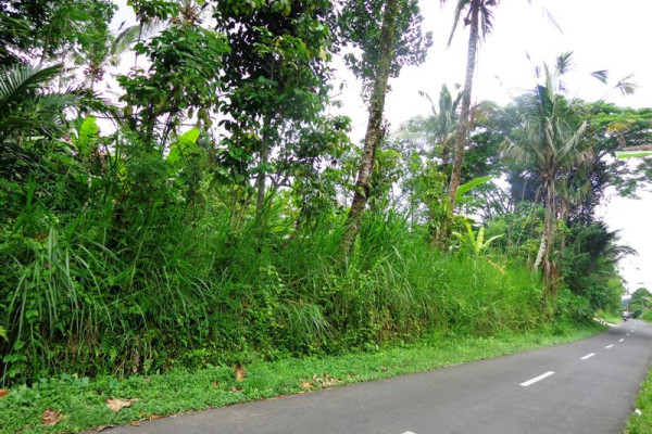 Land for sale in Ubud Tegalalang 2000 m2 by the roadside