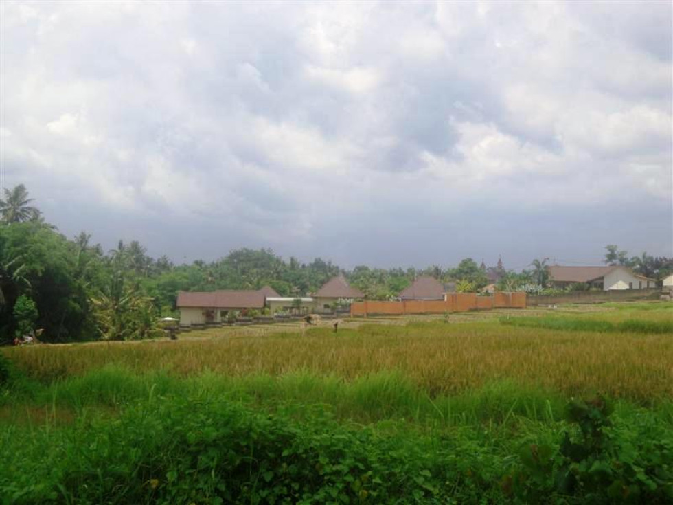 Land for sale in Canggu 200 m2 perfect for villa – TJCG081