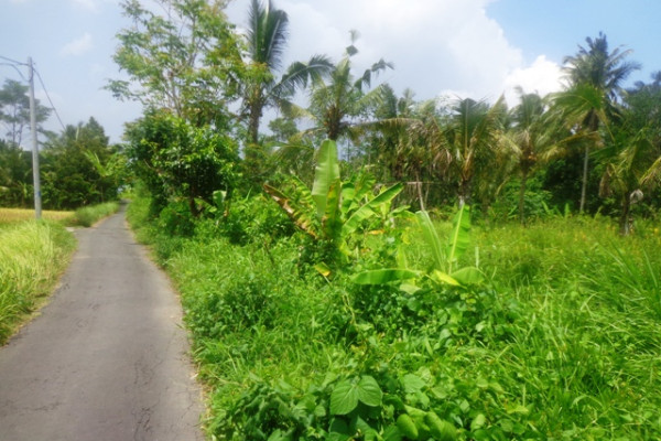 Roadside land for sale in Ubud Magnificent rice fields view near Ubud Center – TJUB150