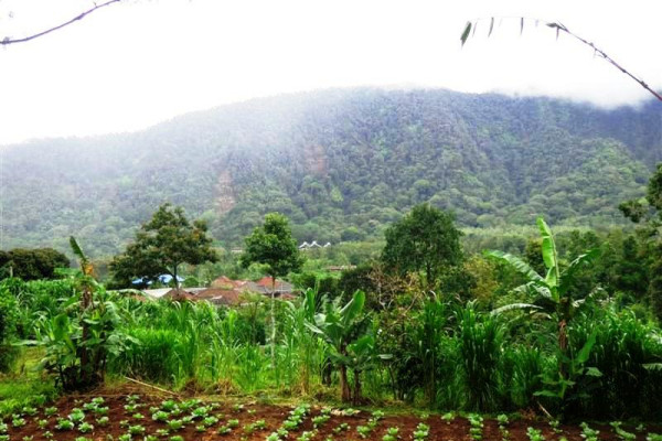 Land for sale in Bedugul Bali lush and private area – LBE028