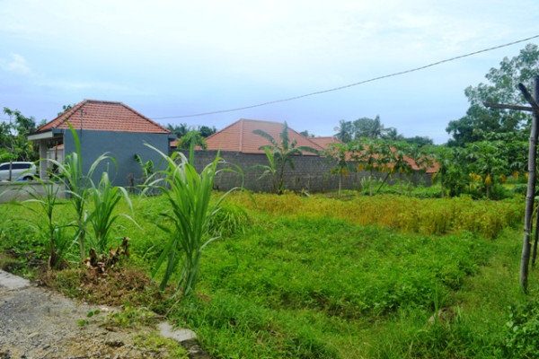 Land for sale in Canggu Bali good price perfect for villa – LCG087