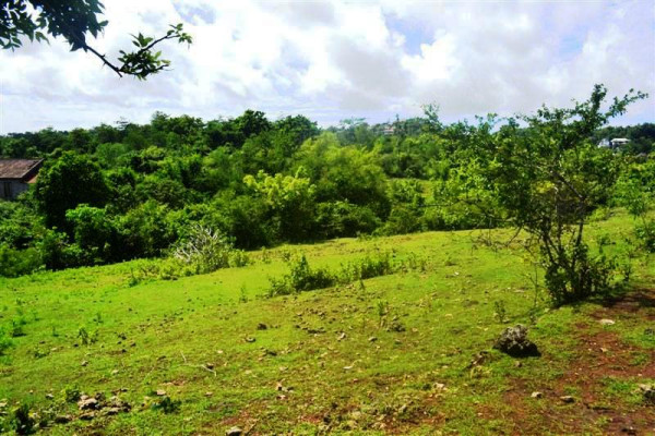 Land for sale in Jimbaran Bali 5,000 sqm in Jimbaran