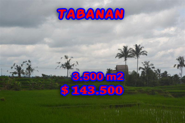 Tabanan Land for sale 35 Ares with montain and rice paddy view – TJTB041
