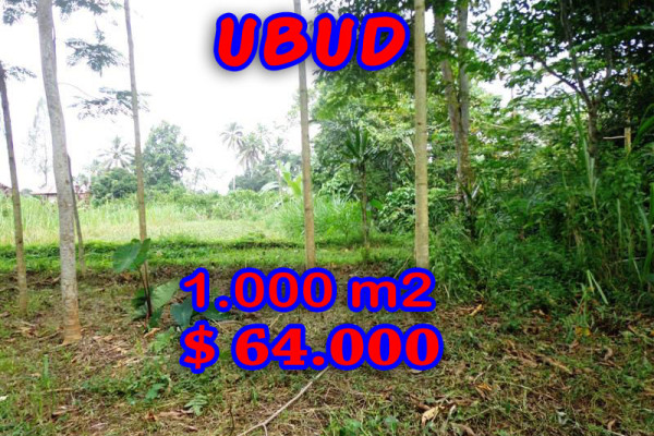 Land for sale in Bali, amazing view in Ubud Tegalalang – TJUB240