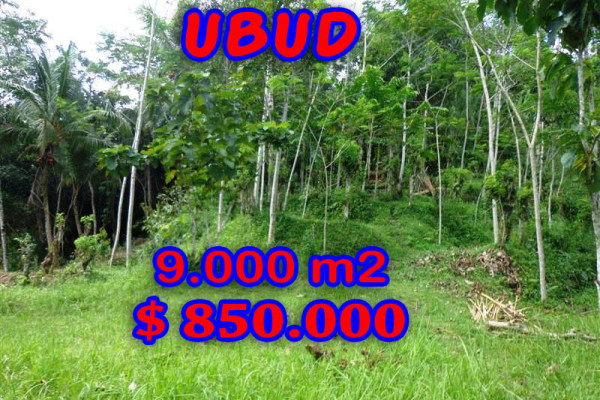 Land for sale in Bali, Fantastic view in Ubud Bali – 14.000 m2 @ $ 86