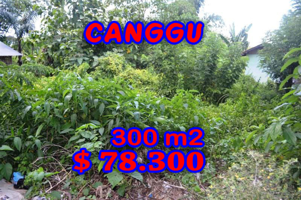 Land for sale in Canggu Bali 300 sqm Stunning view – TJCG100E