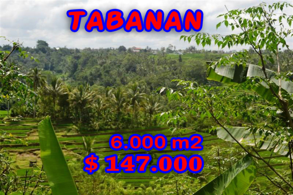 Land for sale in Tabanan 60 Ares in with Mountain View – TJTB040