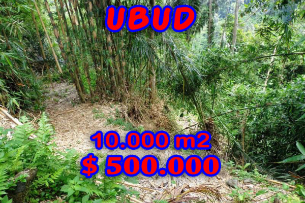 Land for sale in Ubud Bali by the river valley in Ubud Tegalalang