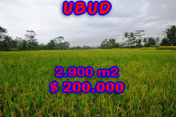 Magnificent Land for sale in Bali, rice fields view in Ubud Tegalalang Bali – TJUB244