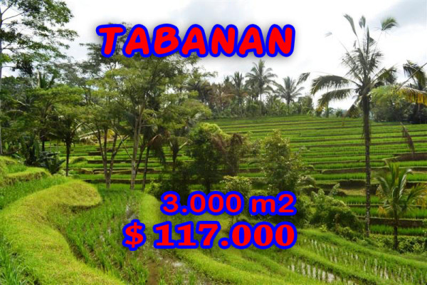 Land for sale in Bali 30 Ares in Tabanan – TJTB038