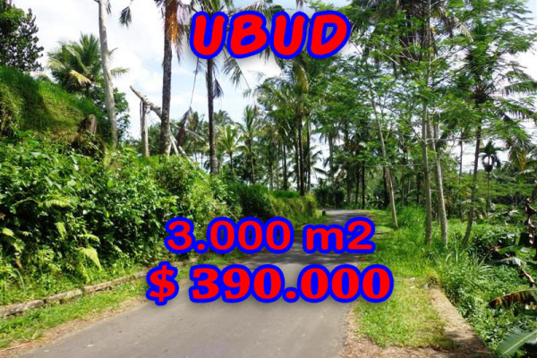 Land for sale in Ubud 10.000 m2 Stunning by the river – TJUB228