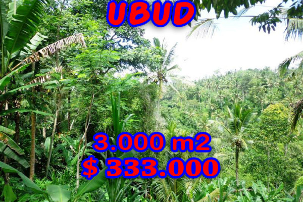 Stunning View 3.000 m2 Land for sale in Ubud Bali