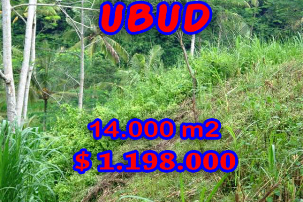 Amazing Land in Bali for sale in Ubud Pejeng Bali – TJUB238
