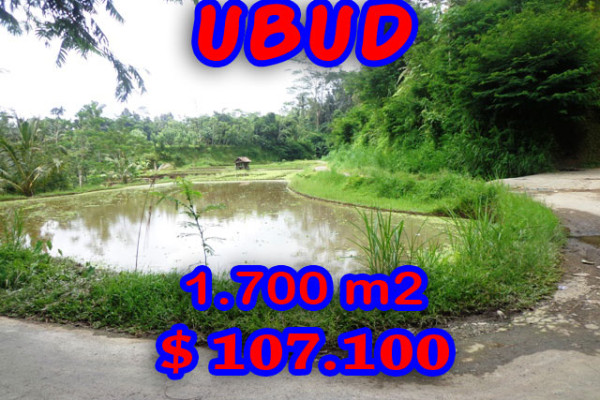 Land for sale in Ubud 1,700 m2 Stunning on the valley – TJUB189E