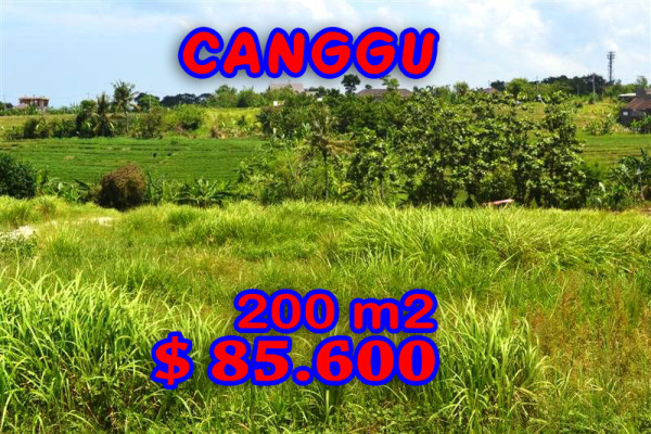 Land for sale in Bali, Spectacular view in Canggu Bali – 200 m2 @ $ 428