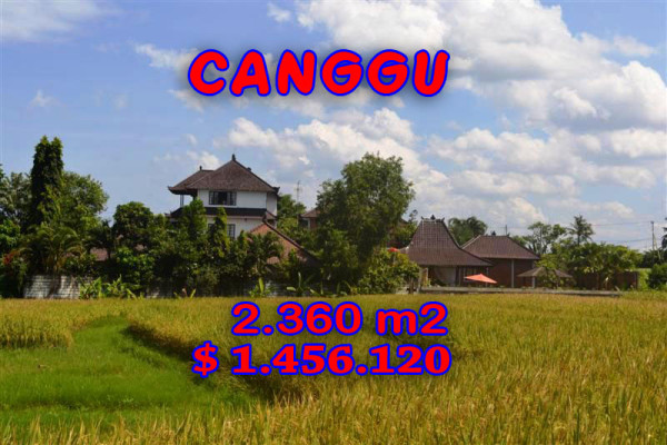 Fantastic Land for sale in Bali, beach view land for sale in Canggu Pererenan