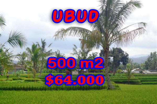 Land in Bali for sale, Stunning Property in Ubud Bali – 500 m2 @ $ 128