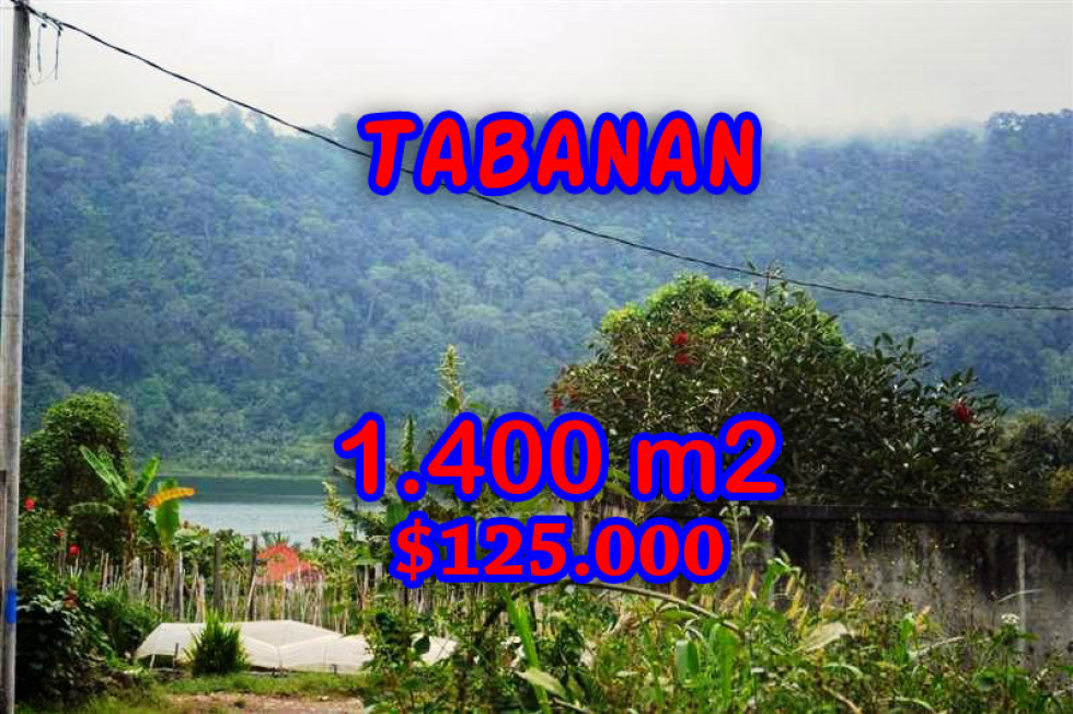 Astonishing Property in Bali, Land for sale in Tabanan Bali – 1.400 m2 @ $ 89