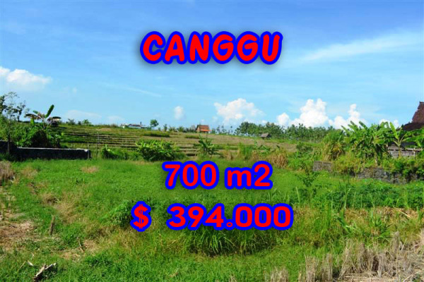 Exceptional Property in Bali, land in Canggu Bali for sale – 650 m2 @ $ 606