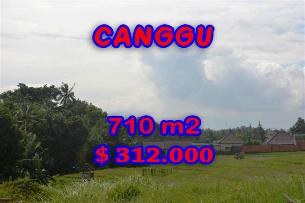 Property for sale in Canggu Bali, Superb land for sale in canggu Berawa  – 710 m2 @ $ 439