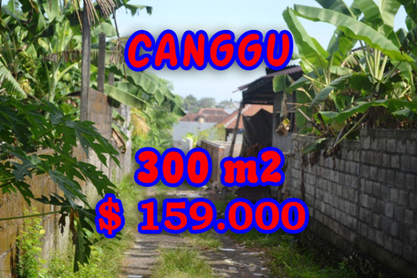 Exotic Property for sale in Bali, Land in Canggu for sale– 300 m2 @ $ 528