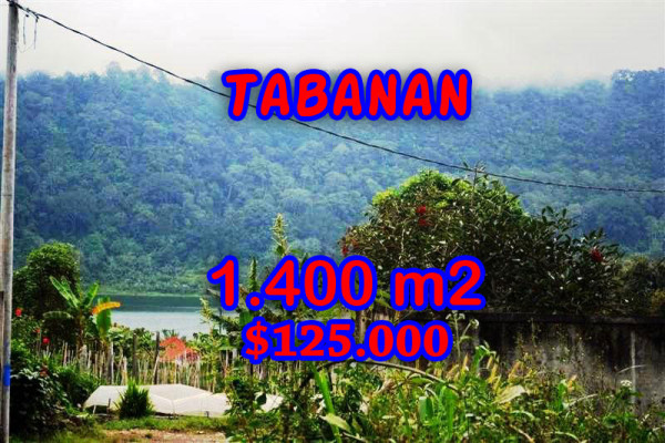 Excellent property in Bali, land for sale in Tabanan Bali – TJTB062