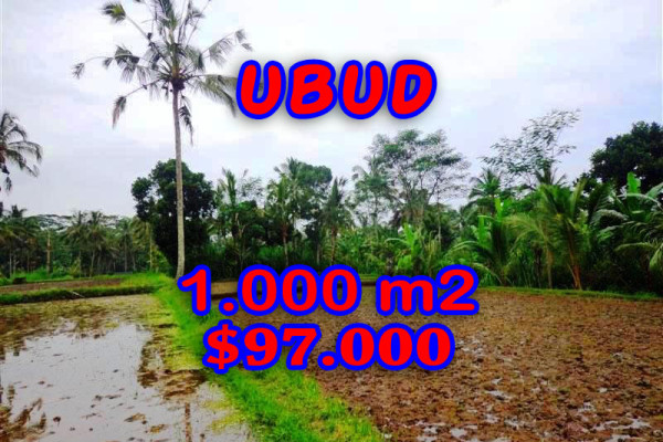 Land in Bali for sale, Eye-catching view in Ubud Bali – 1.000 sqm @ $ 97