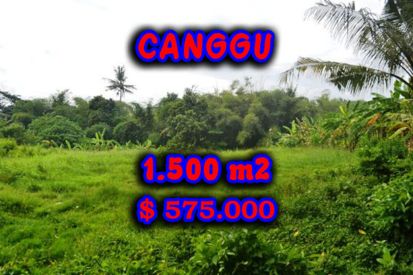 Excellent Property for sale in Bali, land for sale in Canggu Bali  – 1.500 m2 @ $ 383