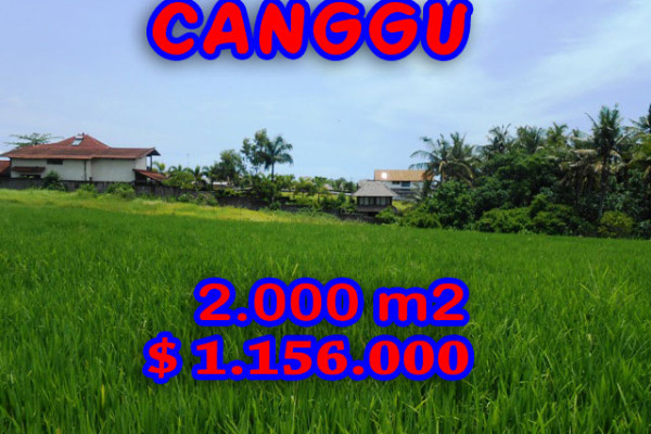 Magnificent Property in Indonesia, land for sale in Canggu Bali – TJCG093