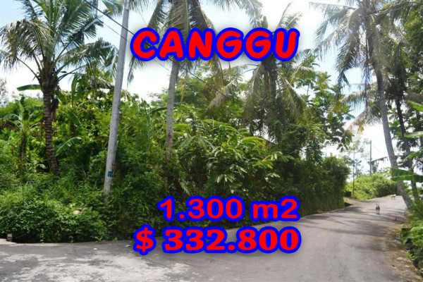 Land for sale in Bali, Exceptional view in Canggu Bali – 1.300 m2 @ $ 256