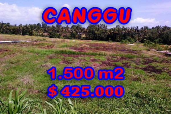 Attractive Property in Bali, Land for sale in Canggu Bali – 1.500 sqm @ $ 283