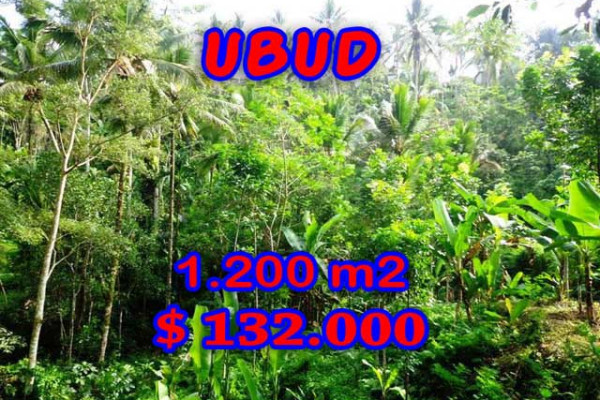 Amazing Property in Bali, Land for sale in Ubud Bali – 1.200 m2 @ $ 110