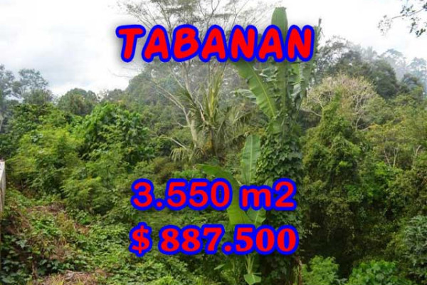 Land for sale in Bali, Incredible property in Tabanan Bali – 3.550 m2 @ $ 39