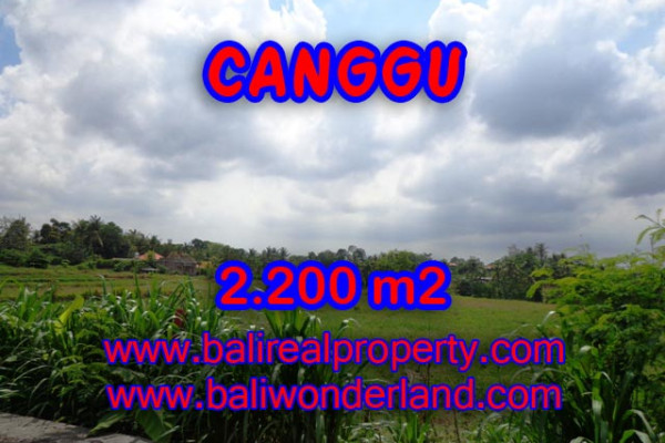 Terrific Property in Bali, Land for sale in Canggu Bali – 2.200 sqm @ $ 283